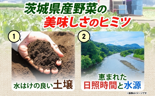 定期便 隔月 2回 冷凍 むき枝豆 計2kg (500g×2袋)×2 茨城県産 枝豆 訳あり 不揃い えだまめ えだ豆 ご飯 おかず サラダ つまみ おやつ 小分け 日常使い フードロス削減 SDGs