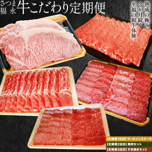 さつま福永牛 こだわり 定期便 サーロインステーキ 280g × 2 焼肉セット 上カルビ 赤身 すき焼きセット 肩ロース 赤身 福永畜産《お申込みの翌月出荷》 鹿児島県 さつま町 和牛 福永牛 定期便 サーロイン ステーキ 焼肉 上カルビ 赤身