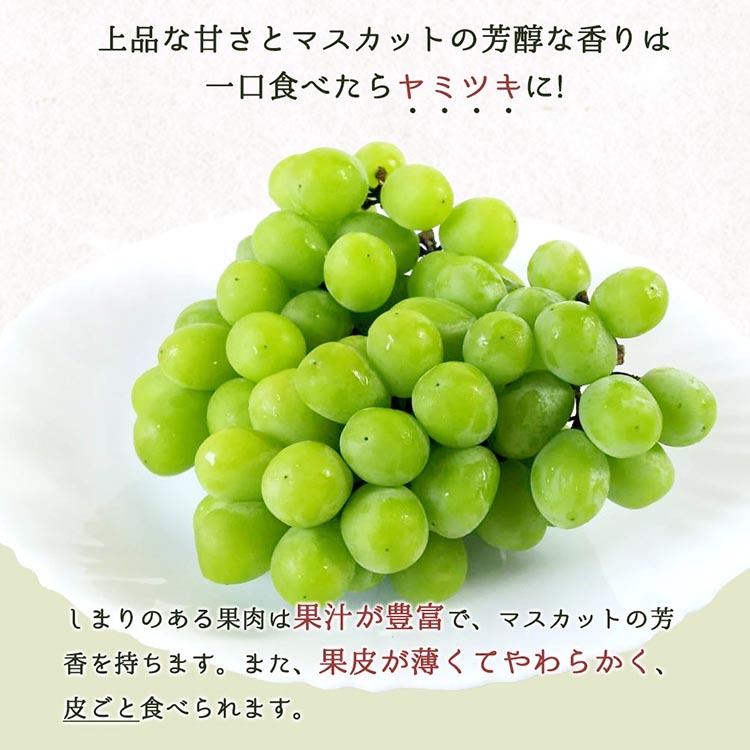 紀州和歌山産シャインマスカット2房（約1kg?1.4kg） ※2025年8月下旬頃?9月上旬頃に順次発送予定_イメージ3