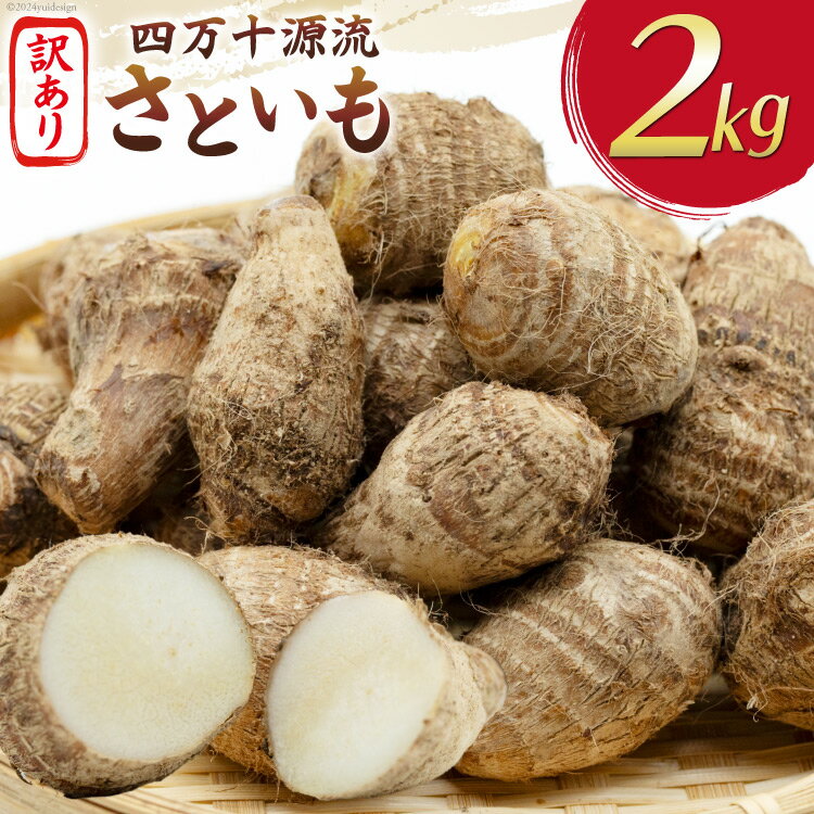 【ふるさと納税】 里芋 訳あり 小粒 2kg 四万十源流域栽培 [満天の星 高知県 津野町 26ac0016] さといも サトイモ