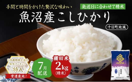 【令和7年産米】魚沼産こしひかり 棚田米(十日町地域) 精米 2kg 7月配送 お米 精米 こめ ご飯 白米 旧：五郎兵衛