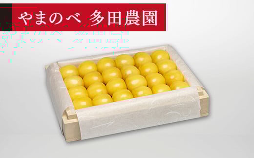 ≪2026年 先行予約≫さくらんぼ 特選月山錦 桐箱詰 300g「やまのべ多田農園」 F2Y-1385