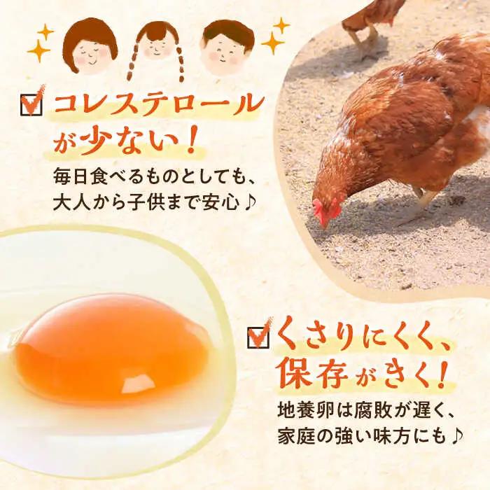 【6回定期便】最高級 卵 地養卵 Mサイズ 40個×6回定期便 長崎県産 西海市 たまご 卵 玉子 タマゴ 鶏卵 オムレツ 卵かけご飯 朝食 料理 人気 卵焼き＜垣山養鶏園＞ [CBB019]