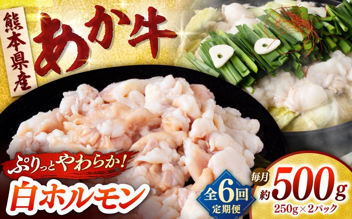 
            【全6回定期便】あか牛 白 ホルモン 500g (250g×2P) 【合同会社　長岡フーズ】 [ZFR051]
          