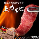 【ふるさと納税】牧草で育った 黒毛和牛 上カルビ 焼肉 数量限定 | セット カルビ 焼き肉 和牛 黒毛和牛 焼肉セット 牛肉 鹿児島県大崎町 九州 肉 お肉 牛 お取り寄せ 精肉 ご当地 グルメ 焼き肉セット 国産牛肉 国産和牛