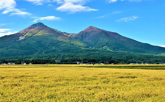 令和5年産 福島県産 あさか舞コシヒカリ 精米10kg（5kg×2袋）【3ヶ月定期便】