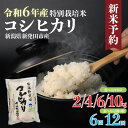 【ふるさと納税】 令和6年産 コシヒカリ 2kg 4kg 6kg 10kg 米 定期便 6回 12回 白米 ご飯 料理 おにぎり 弁当 新潟県 新潟産 新発田産 コシヒカリ 佐々木耕起組合 特別栽培米 新潟県 新発田市 非常食 新米