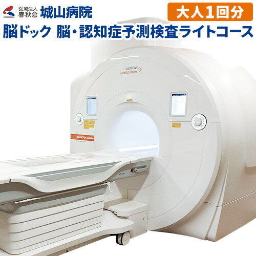 【ふるさと納税】脳ドック 脳・認知症予測検査ライトコース 大人1回分 医療法人春秋会城山病院 《30日以内に出荷予定(土日祝除く)》大阪府 羽曳野市 病院 検査 検診 脳 脳ドック 認知症 脳腫瘍 脳卒中 糖尿病 高血圧 病気 脳血管障害 MRI 頭部MRI 頭部MRA 頸部MRA AI解析