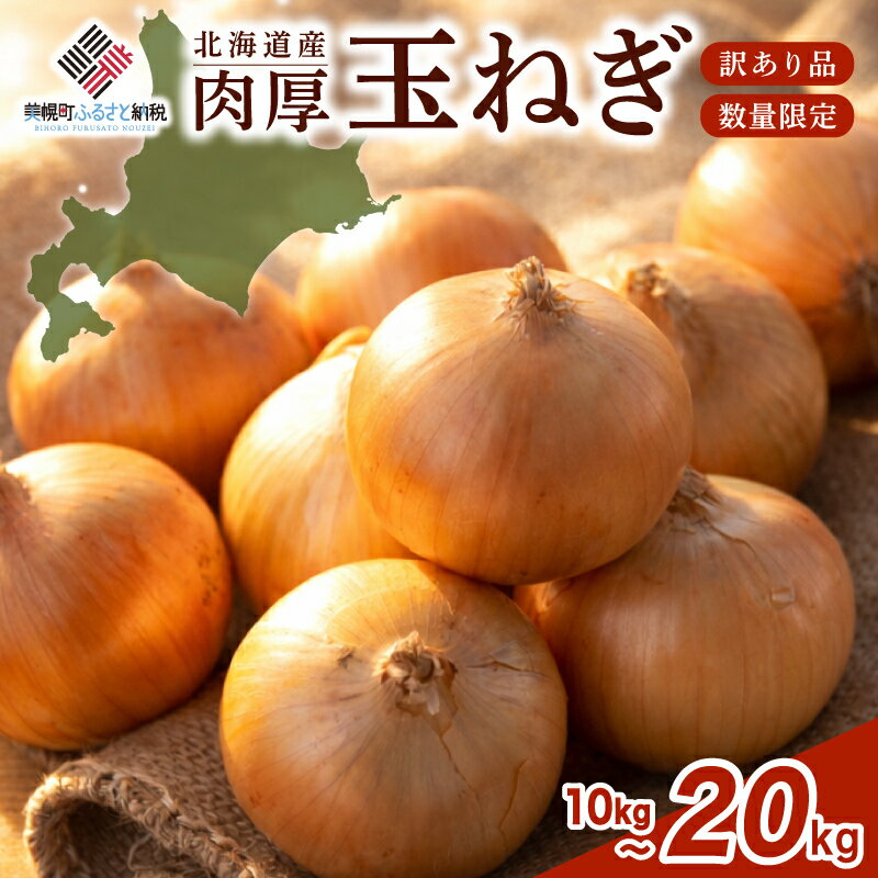 【ふるさと納税】 数量限定 訳あり 玉ねぎ 10~20kg 選べる 【R7年度産 Sサイズ 順次発送】 【 先行予約 R8年度産 Mサイズ 訳あり・Lサイズ／2026年10月上旬より順次発送】 人気 ランキング 玉ねぎ 国産 野菜 北海道 美幌町
