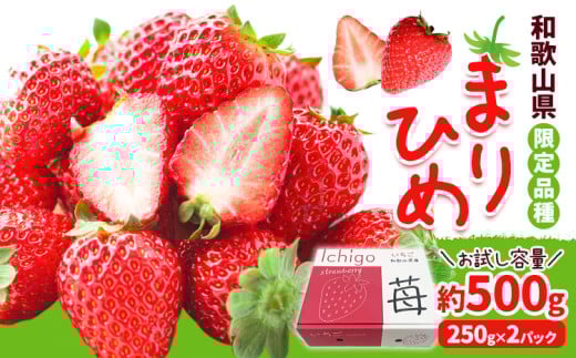 いちご まりひめ 約500g (250g×2パック) JAわかやま 紀の里地域本部《2月中旬-4月中旬頃出荷》和歌山県 岩出市 イチゴ 苺 いちご まりひめ 果物 くだもの フルーツ お試し パック 