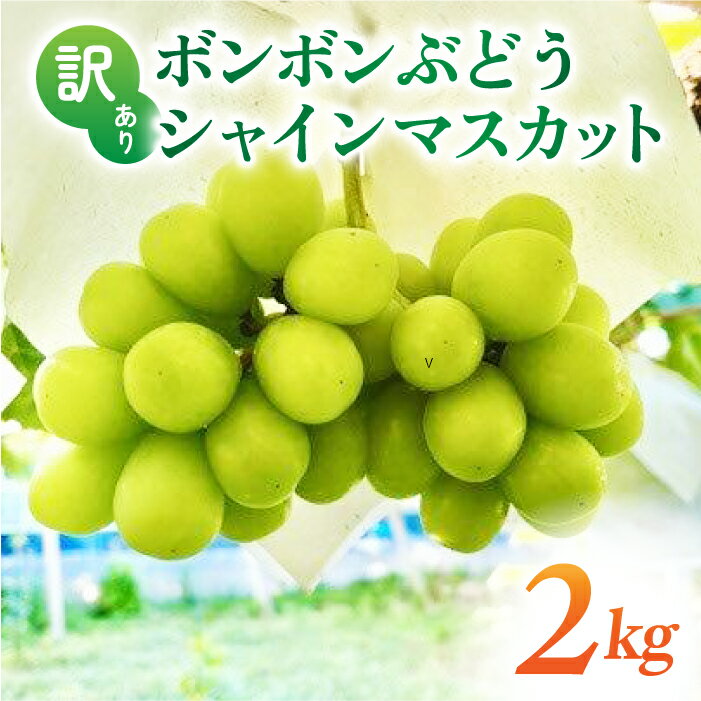 【ふるさと納税】先行受付2026年発送【信州東御ぶどう園】訳アリボンボンぶどう！シャインマスカットたっぷり2kg　※2026年10月上旬〜10月中旬発送