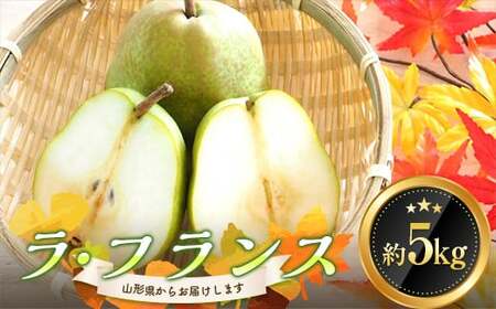 《2025年発送》 ラ・フランス 約5kg（12～16玉） FSY-0866