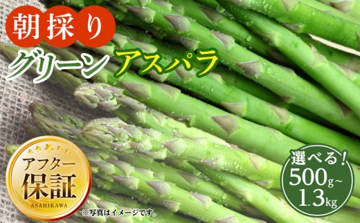 
                  【サイズ選択可】ランキング常連 朝採り グリーンアスパラ（2027年5月下旬発送開始）Ｍ～３Ｌサイズ　500g～２kg
                