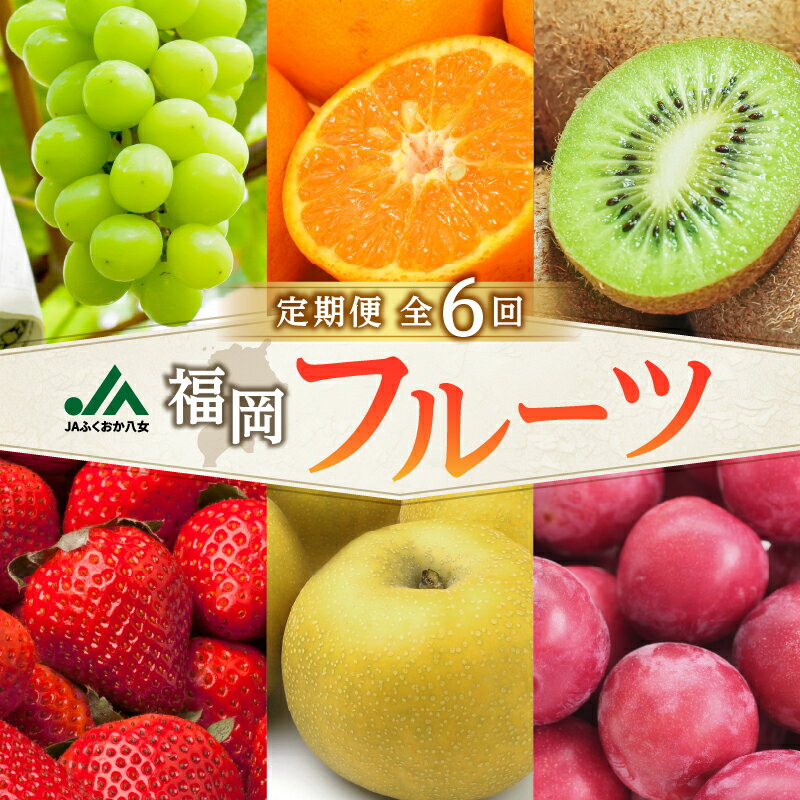 【ふるさと納税】福岡フルーツ定期便【全6回】盛りだくさん果物お届け定期便　JAふくおか八女からお届け！！ 梨 豊水 幸水 シャインマスカット みかん ミカン あまおう いちご 貴陽 すもも キウイ くだもの 人気 旬 高糖度 甘い アフター補償 数量限定 期間限定 産地直送