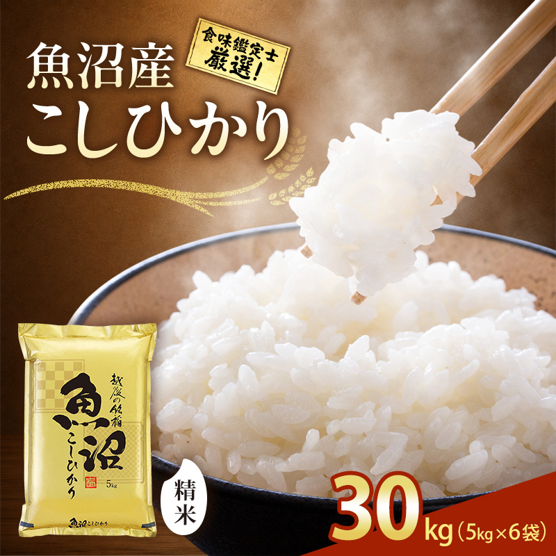 【令和8年産 先行予約】食味鑑定士厳選！魚沼産こしひかり ３０ｋｇ（５ｋｇ×６） 白米 安心 安全 こだわり 米 コシヒカリ 新潟県 十日町市