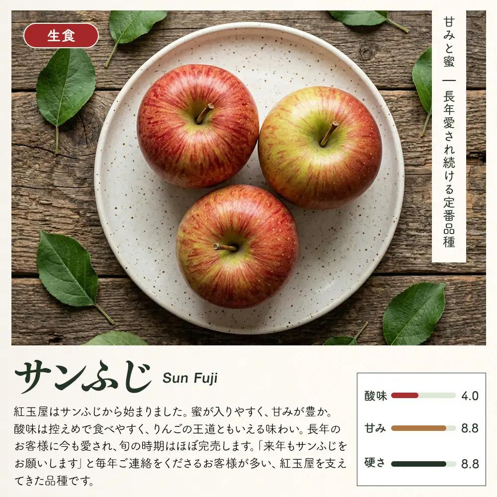 紅玉屋 長野市産【訳あり】サンふじ10kg【2026年12月上旬以降の出荷分】（紅玉屋） | りんご フルーツ りんご