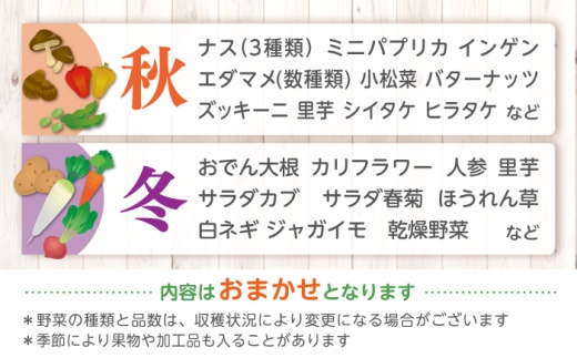 【先行予約】【2027年1月以降発送開始】【全12回定期便】旬の野菜セットMサイズ 島根県松江市/須山農園 [ALBD010]