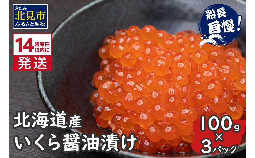 《14営業日以内に発送》北海道産 いくら醤油漬け 100g×3パック ( いくら イクラ 醤油漬け しょう油 鮭卵 )【114-0087】