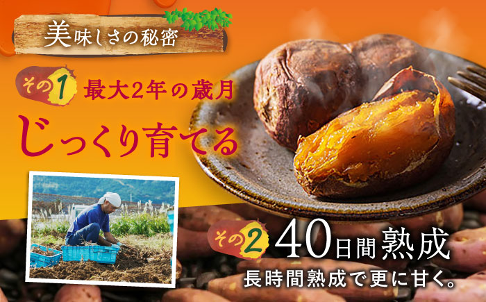 【3年連続日本一】焼き芋 ごと芋 300g×8袋 五島市/ごと[PBY034]  冷凍 焼き芋 レンジ さつまいも 安納芋 やきいも ねっとり おやつ スイーツ 甘い 長崎 五島市 レンジで簡単 サツ