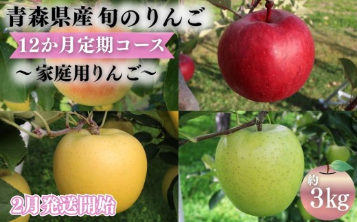 
                  【2027年2月発送開始】青森県産 りんご 12ヶ月定期便 約3kg 家庭用 1年間品種リレー 食べ比べセット 毎月配送 青森りんご 林檎 フルーツ 平川市
                