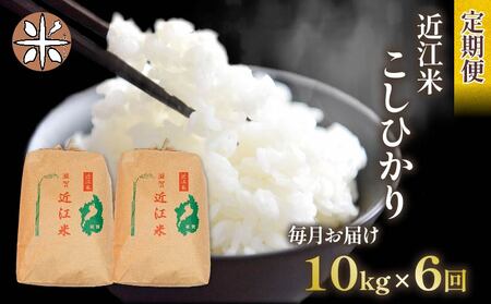 令和6年産 新米 こしひかり 定期便 10kg 全6回 白米 5kg × 2袋 6ヶ月 近江米 コシヒカリ 国産 お米 米 おこめ ごはん ご飯 白飯 しろめし こめ ゴハン 御飯 滋賀県産 竜王 ふるさと ランキング 人気 おすすめ