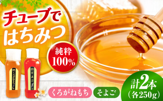 はちみつ 手軽に簡単チューブはちみつ（そよご・くろがねもち）各250g 計2本セット  三次市/重森養蜂場 [APBO014] はちみつ 蜂蜜 ハチミツ ハニー honey 手軽 チューブ チューブタ