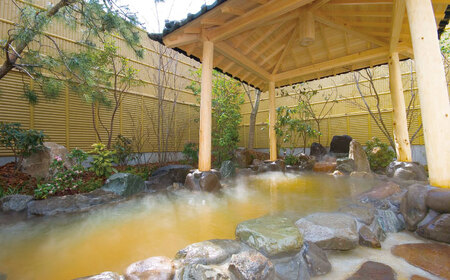 温泉入浴券 大谷の湯 日帰り温泉 入浴券 12枚【社会福祉法人青生会】[BHCM002]