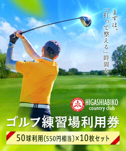 ゴルフ 練習場 利用券 50球×10枚セット 株式会社東我孫子カントリークラブ《30日以内に出荷予定(土日祝を除く)》千葉県 我孫子市 送料無料 ゴルフチケット ゴルフ練習 練習チケット 利用チケット