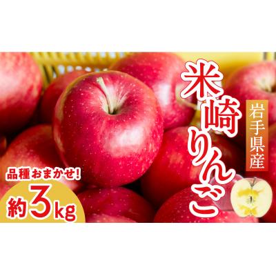 ふるさと納税 陸前高田市 【旬のりんごをお届け!】 米崎りんご 約3kg 品種おまかせ ★大和田果樹園★ 旬 りんご