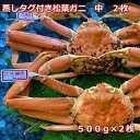 【ふるさと納税】蒸しタグ付き松葉ガニ　中　2枚　1枚500～640g前後MK10 | 蟹 魚介類 水産 食品 人気 おすすめ 送料無料