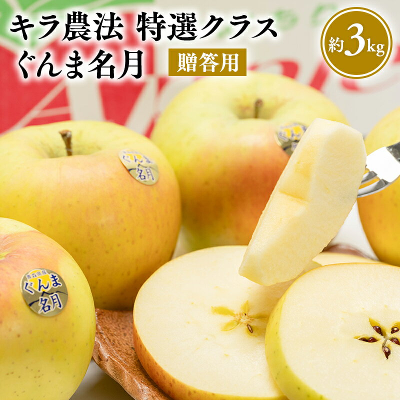 【ふるさと納税】≪11〜12月発送≫青森県産 キラ農法 贈答用 特選クラス ぐんま名月 約3kg【青森県 平川市 夢ファクトリー】 完熟りんご レビューキャンペーン