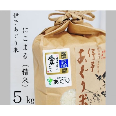 ★令和5年産発送★　伊予あぐり米「にこまる」(精米5kg)