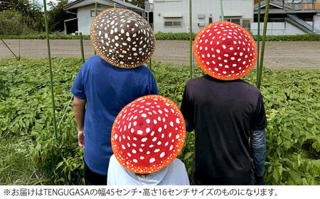 蓄光BENITENGASA・プレミアム 茶 ベニテン笠 光る ベニテングタケ タッセル 竹笠 大阪府高槻市/サンドセルショップ[AOBO026]