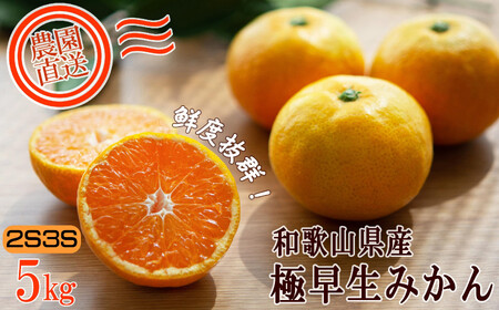 小玉みかん【訳あり】5kg 2S3Sサイズ【下津の極早生みかん】10月～11月にまごころ産直みかんより農園直送※北海道・沖縄・離島への配送不可 小玉 極早生みかん 訳あり 小玉 極早生みかん 訳あり 小玉 極早生みかん 訳あり