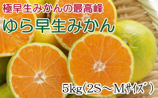 
                  【先行予約】【極早生みかんの逸品】有田産ゆら早生みかん 約5kg  先行予約 ※2026年10月中旬～2026年11月中旬頃順次発送 みかん 柑橘類【tec801A】
                