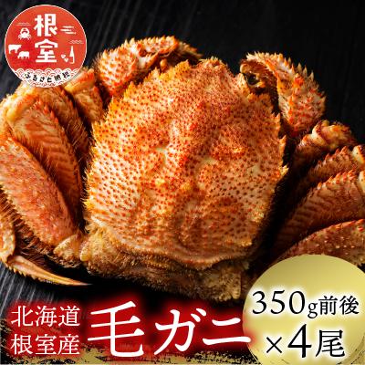 ふるさと納税 根室市 【北海道根室産】毛がに350g前後×4尾 C-21005