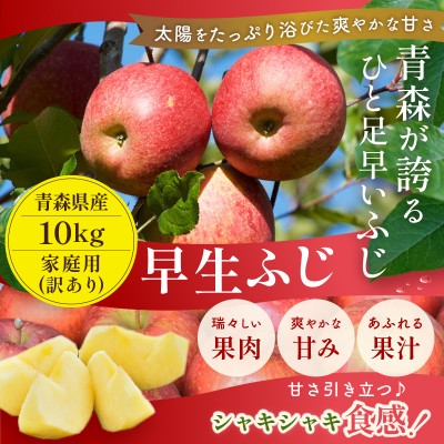 
                  ＜2026年10月から順次発送予定＞平均糖度12度以上! 早生ふじ 約10kg 訳あり【1607479】
                