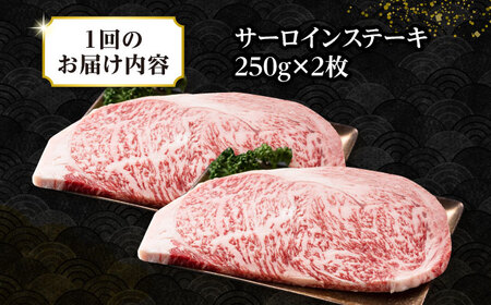 【全12回定期便】【A4〜A5ランク】長崎和牛 サーロインステーキ 500g（250g×2枚）《壱岐市》【株式会社MEAT PLUS】 肉 牛肉 黒毛和牛 サーロイン ステーキ ご褒美 ギフト 贈答用