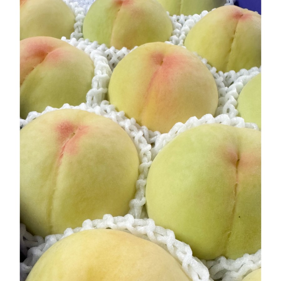 ＜吉田農園＞あら川の桃　清水白桃　特秀1kg