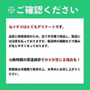 福岡産【冬】あまおう2パック【筑前町】※一部離島不可