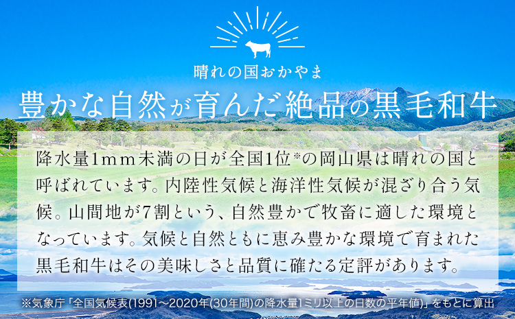 リブ or サーロイン ステーキ 1000g 数量限定 牛肉 冷凍 黒毛和牛 《30日以内に出荷予定(土日祝除く)》 個別 取分け 小分け 個包装 赤身 霜降り 岡山県 矢掛町 牛 牛肉 和牛 ステー