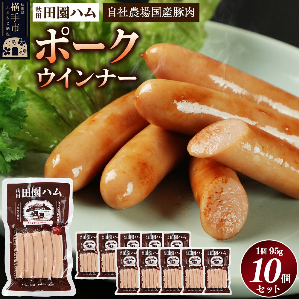 【ふるさと納税】田園ハム ポークウインナー 95g×10個セット