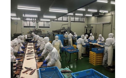 昆布塩サバ詰合せ 約140g×36枚(合計約5kg) HACCP衛生管理 鯖 さば 切身 焼き魚 簡単 おかず「2024年 令和6年」