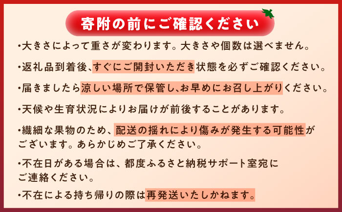 【7月上旬から順次発送】王様トマト 3.7kg 箱入り / トマト とまと 箱入り 3.7キロ 国産 / 恵那市 / 阿部農園 [AUGA005]