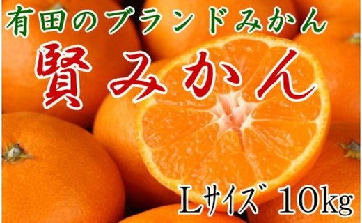[秀品]有田のブランド「賢みかん」10kg(Lサイズ)［2026年11月中旬頃より順次発送］ BZ013