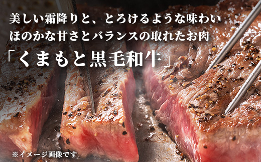 【年内お届け】くまもと黒毛和牛 1ポンド ステーキ 約500g※12月19日～26日発送※  黒毛 和牛 1 pound ステーキ 500g ブランド牛 上質 常備 冷凍 熊本県  年内発送 年内配送