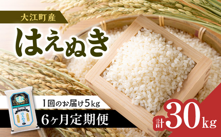 《6ヶ月定期便》大江町産 はえぬき 5kg×6ヶ月(計30kg)【山形県産】 001-T06