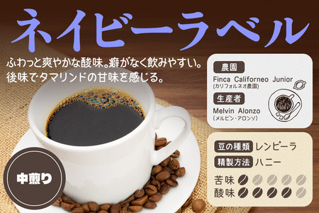 《定期便2ヶ月》コーヒー豆 自家焙煎 ホンジュラス スペシャルティコーヒー 焙煎豆 200g×1パック 細挽き【ネイビー】