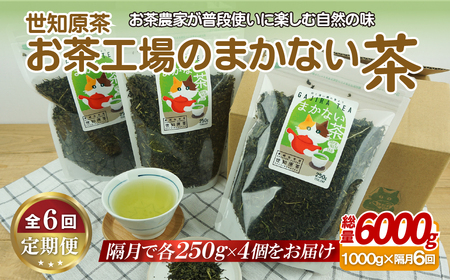 世知原茶お茶工場のまかない茶【6回定期便】