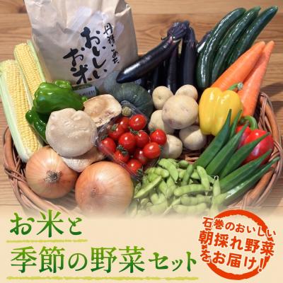 ふるさと納税 石巻市 石巻産 お米と季野菜セット 朝採れ 旬の野菜 季節の野菜 お野菜 米 詰め合わせ 新鮮